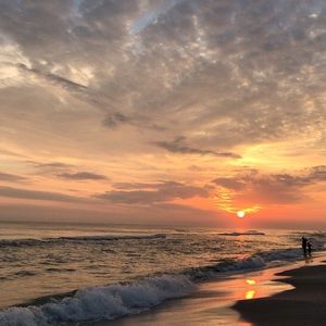 Meet your Posher, Mollie